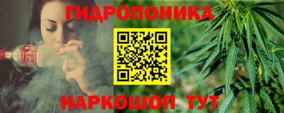 гидропоника Кингисепп