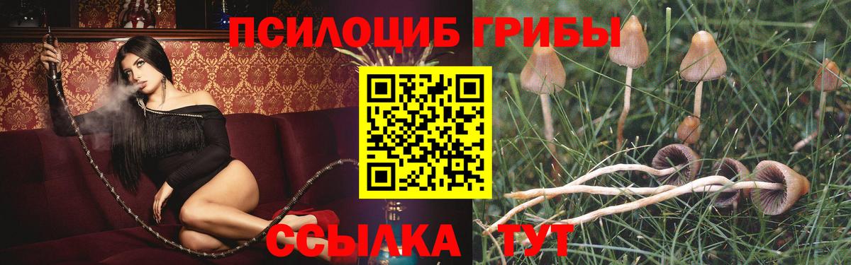 Кудымкар  Галлюциногенные грибы Cubensis  Вход с VPN 
