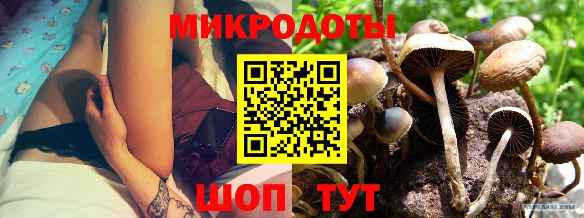 Галлюциногенные грибы GOLDEN TEACHER Кудымкар